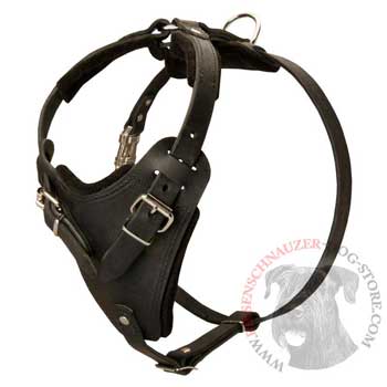 Dog Attack Training Riesenschnauzer Harness Easy Adjustable