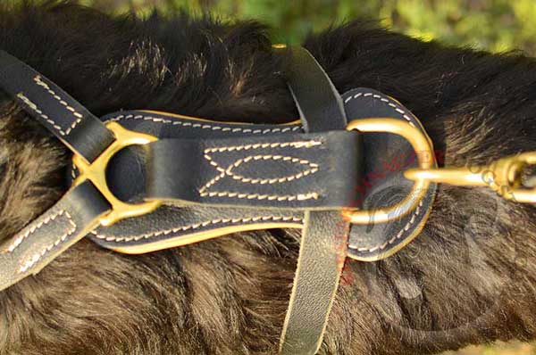 Back Plate with Stitched Brass D-ring for Snap Hook Attachment