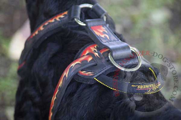 Back Plate with Durable Be-in-control Handle on Riesenschnauzer Leather Harness