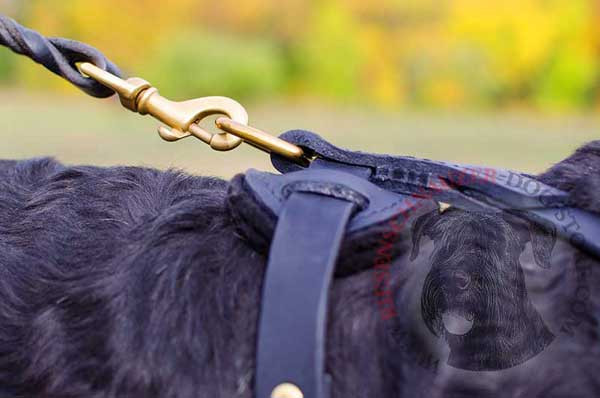 Brass D-ring for Fast Snap Hook Connection