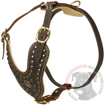 Walking Dog Gear for Riesenschnauzer