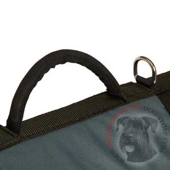 Easy Control Handle for Riesenschnauzer Rehabilitation Harness
