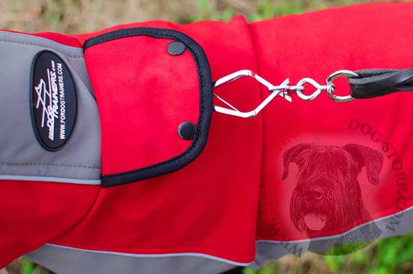 D-ring for Fast Lead Connection with Nylon Riesenschnauzer Coat