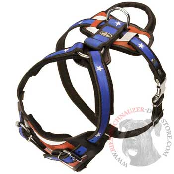 Leather SRiesenschnauzer Harness with Handle Stitched to Back Plate