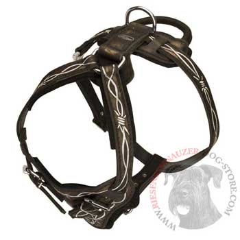 Agitation Training Leather Riesenschnauzer Harness