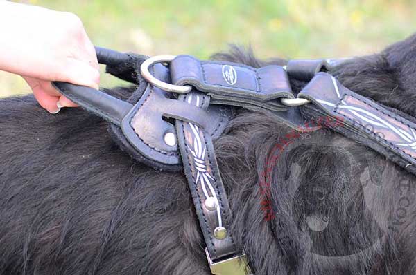 Durable Handle For Better Dog Control on Leather Painted Riesenschnauzer Harness