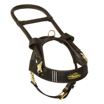 Riesenschnauzer Leather Guide Harness with ID Patches