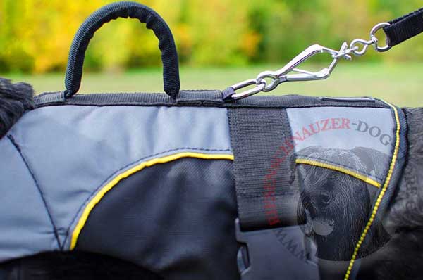 Nickel D-ring for Quick Snap Hook Attachment to Riesenschnauzer Vest Harness