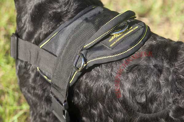 Nylon Back Plate with Easy-to-control Handle of Riesenschnauzer Harness