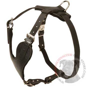 Riesenschnauzer Harness for Off-Leash Training