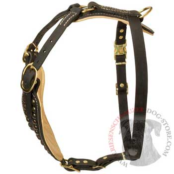 Custom Made Dog Harness for Riesenschnauzer