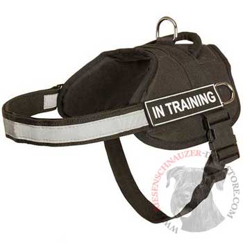 Nylon Riesenschnauzer Harness Multifunctional All-Weather Practical