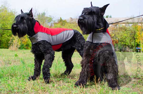 Riesenschnauzer Nylon Coat for Keeping Your Dog Warm