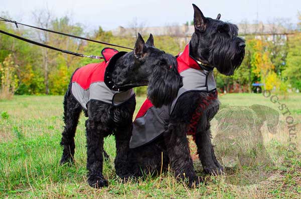 Nylon Jacket for Riesenschnauzer Warming