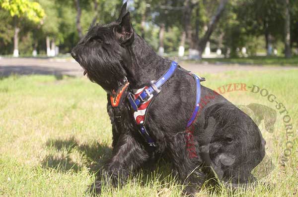 Leather Harness for Attack / Agitation Training