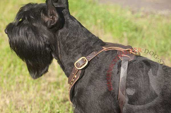 Studded Leather Riesenschnauzer Harness with Rust Resistant Hardware