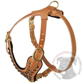 Studded Tan Leather Riesenschnauzer Harness