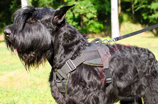 Water-proof Riesenschnauzer Nylon Harness 