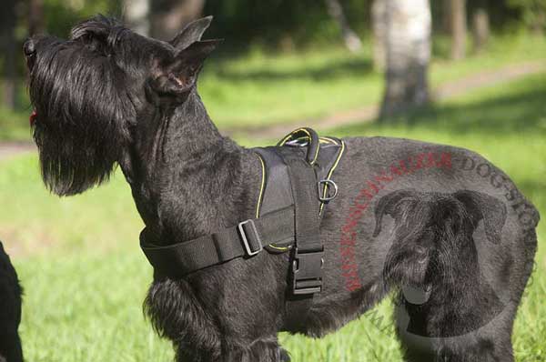 All Weather Nylon Harness for Riesenschnauzer Comfortable Walking