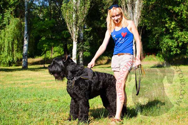 Nylon Harness for Riesenschnauzer Comfortable Tracking