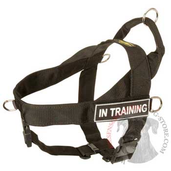 Riesenschnauzer Nylon Harness with ID Patches