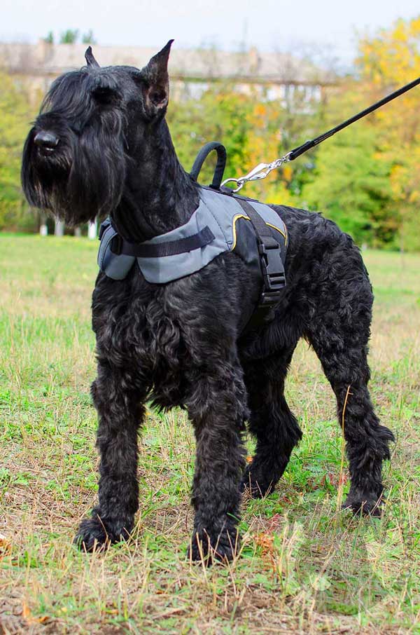 Nylon Vest Harness for Riesenschnauzer Winter Warming
