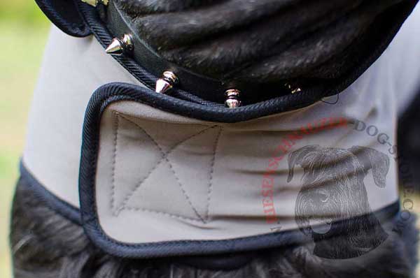 Stand-up Collar for Dog Protection from Strong Wind