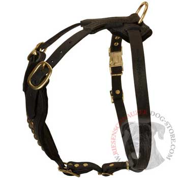 Easy Adjustable Leather Riesenschnauzer Harness