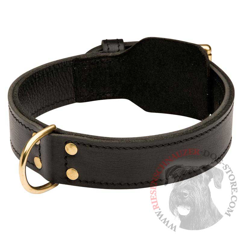 Training 2 Ply Leather Riesenschnauzer Collar