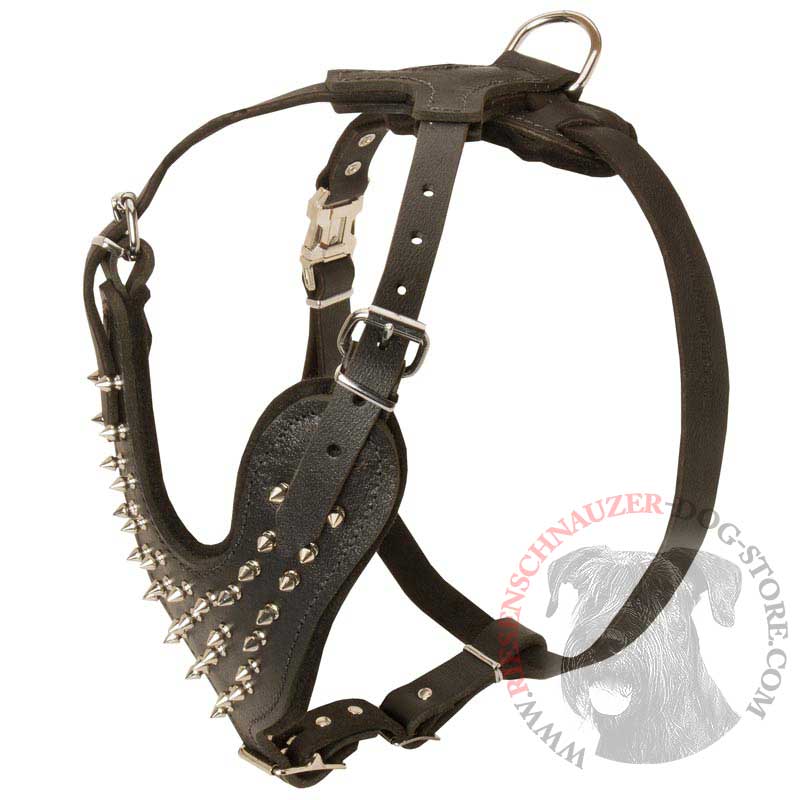 Spiked Leather Riesenschnauzer Harness for Fashionable Walking