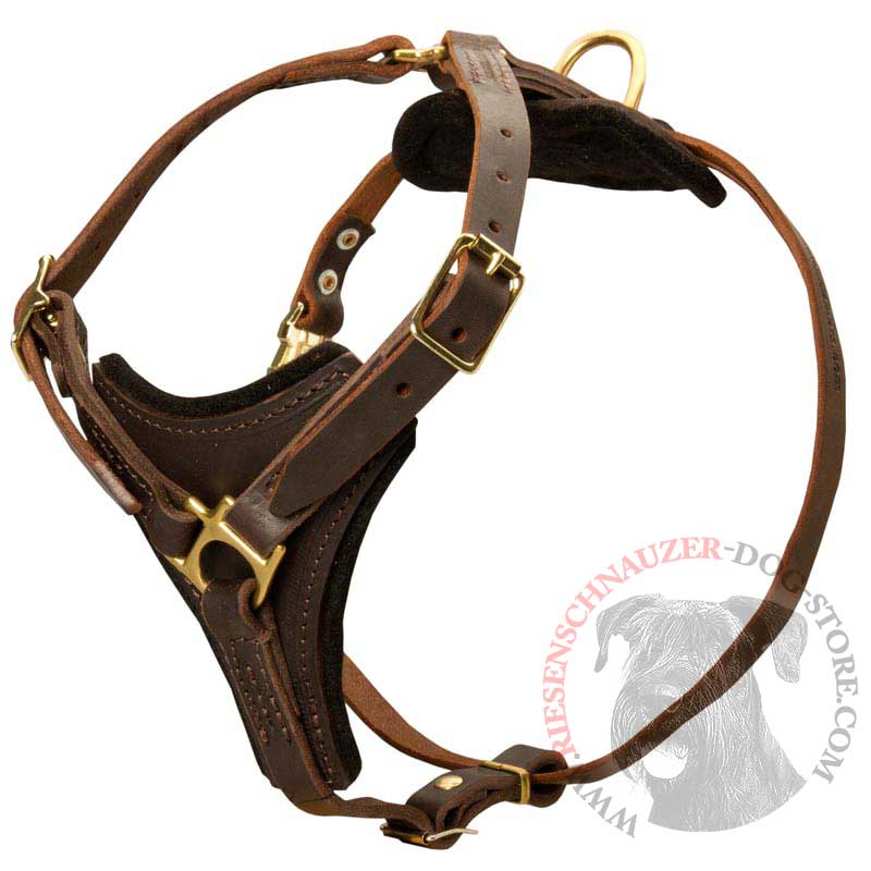 Tracking Leather Riesenschnauzer Harness With Y-Chest Plate