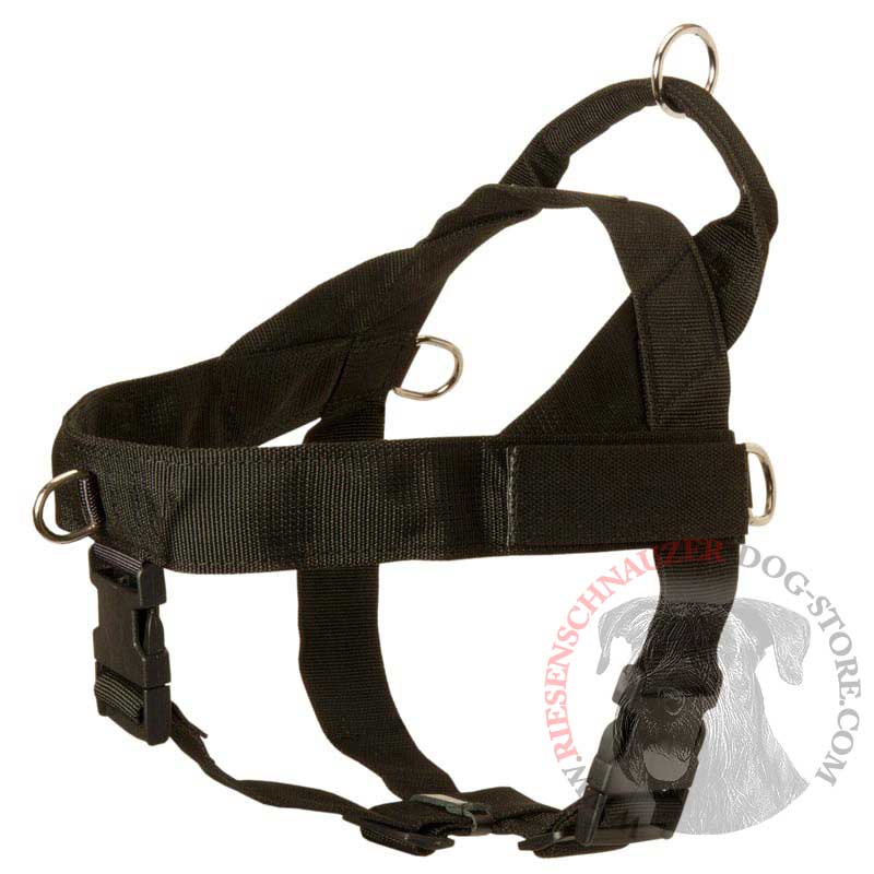 Riesenschnauzer Harness Nylon with Patches