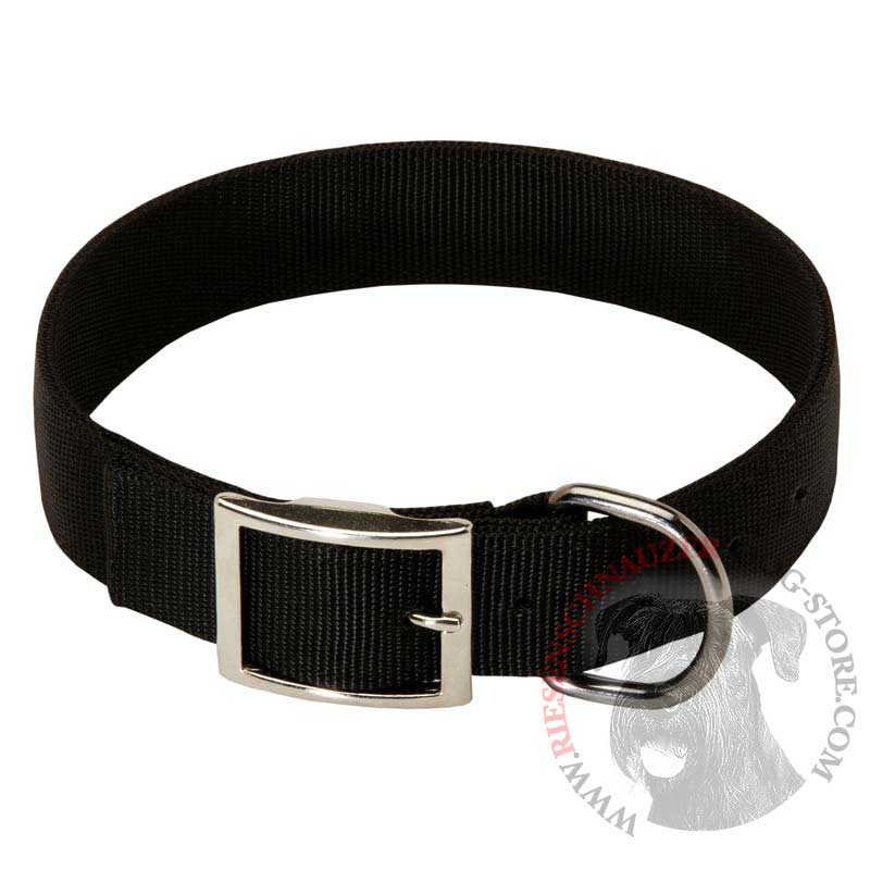 2 Ply Nylon Riesenschnauzer Collar