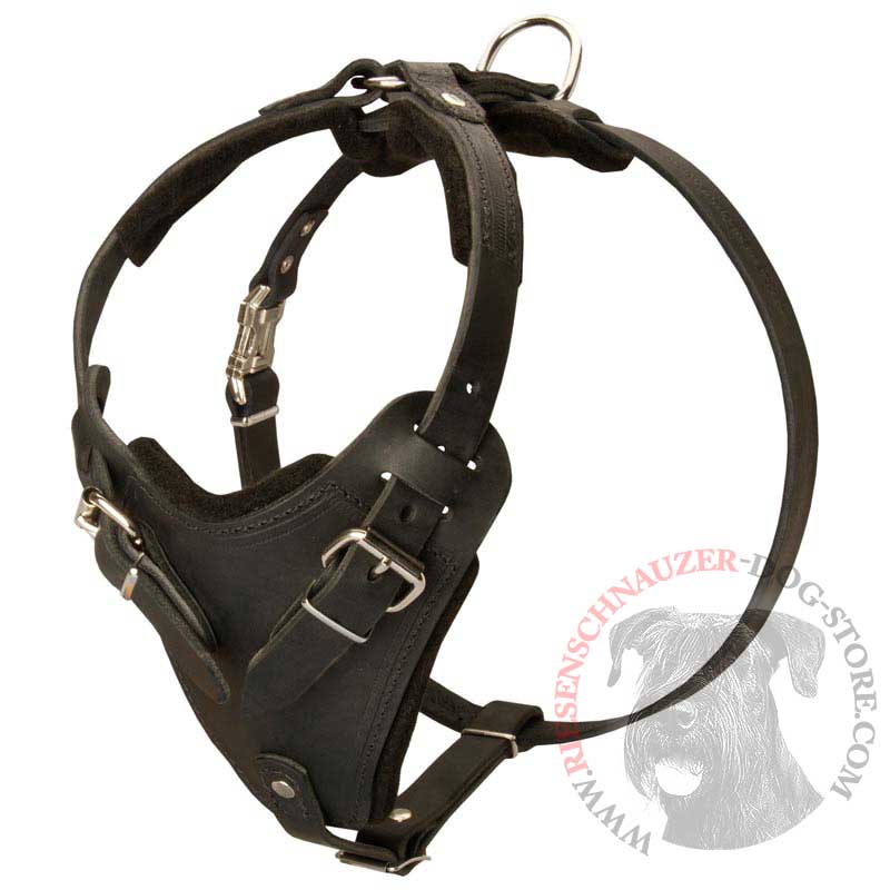 Protection Leather Riesenschnauzer Harness for Attack / Agitation Dog Training