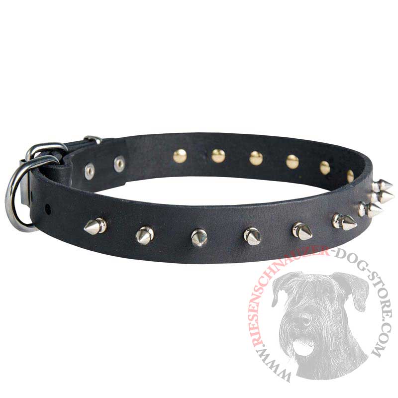 Riesenschnauzer Leather Collar Spiked 30 mm