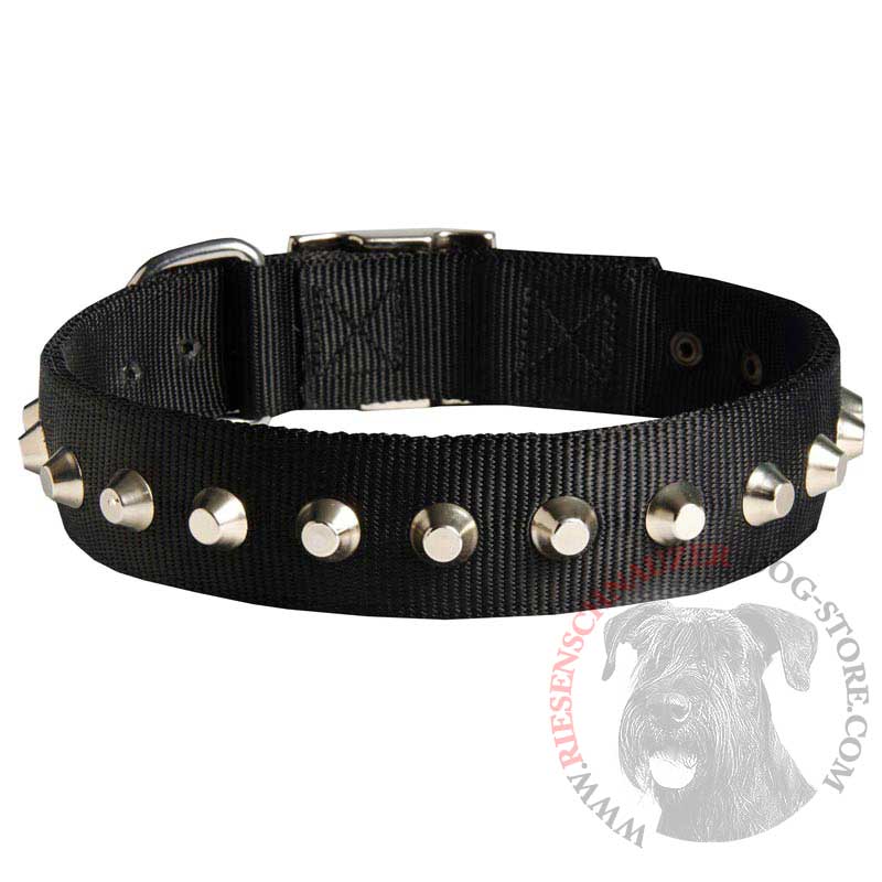 Exclusive Nylon Riesenschnauzer Collar with Awesome Nickel Cones
