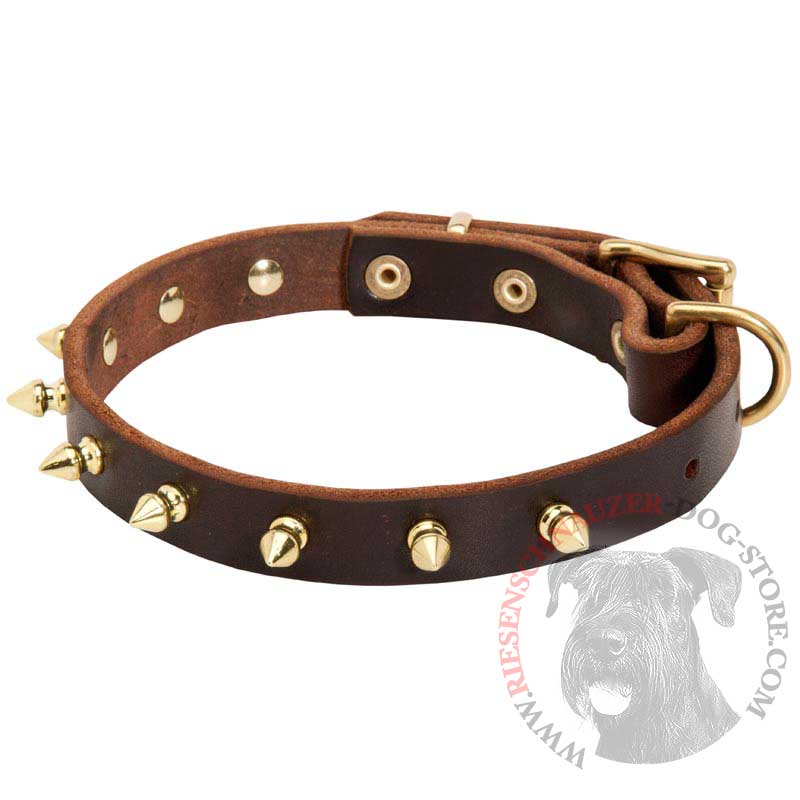 Walking Designer Leather Riesenschnauzer Collar with Brass Spikes