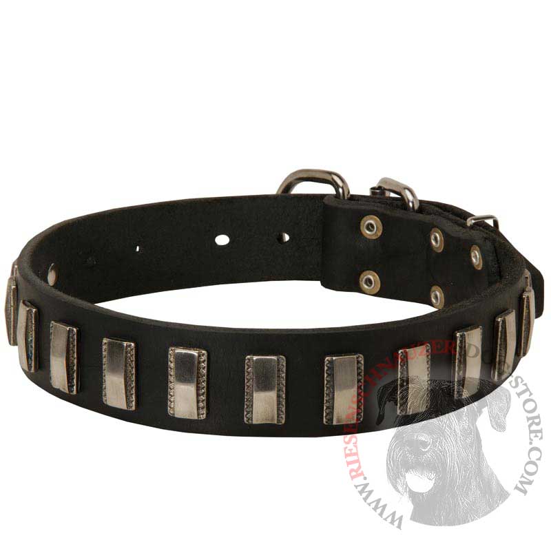 Riesenschnauzer Leather Collar with Shiny Plates