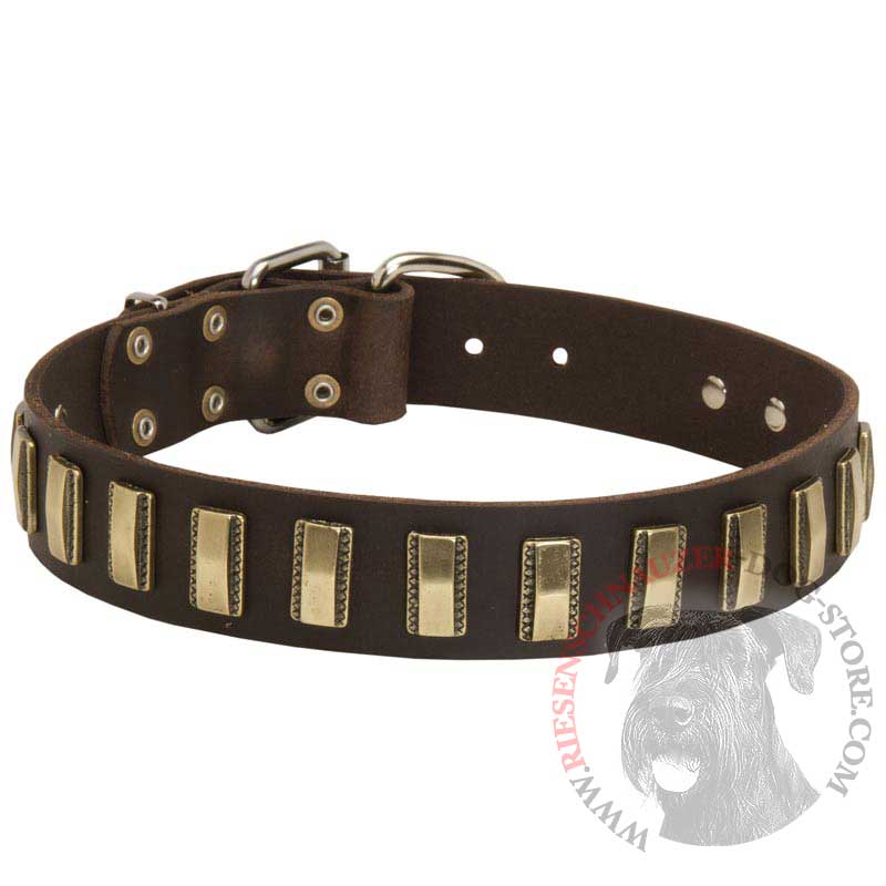 Leather Riesenschnauzer Collar with Awesome Brass Plates