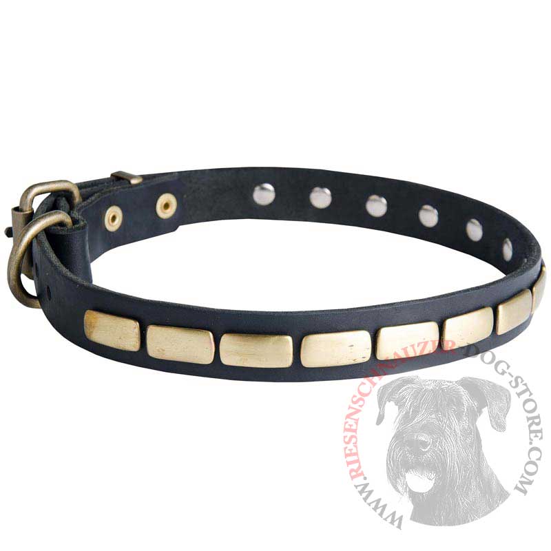 Riesenschnauzer Leather Collar Brass Plates 25 mm
