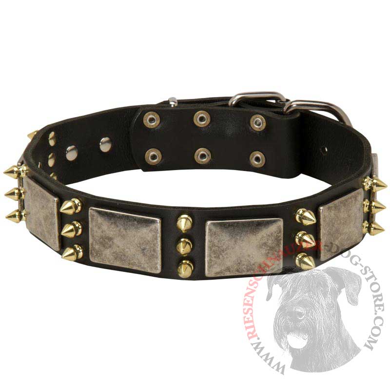 Riesenschnauzer Spiked Leather Collar with Nickel Plates