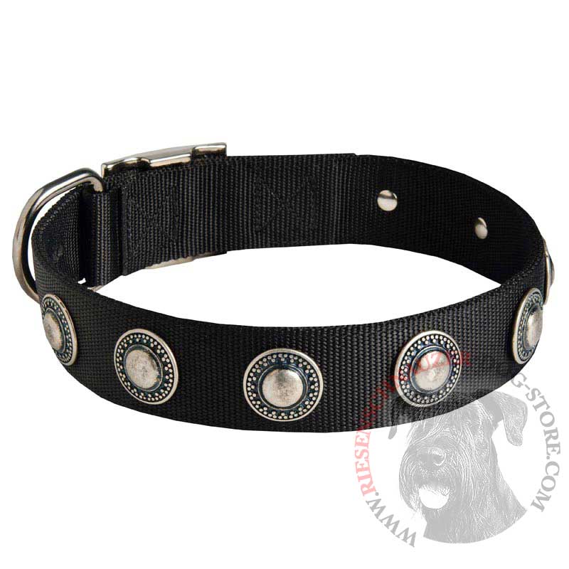 Riesenschnauzer Nylon Dog Collar with Circles Decoration