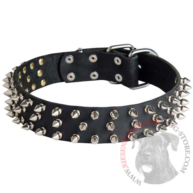 Leather Riesenschnauzer Collar with 3 Rows of Nickel Spikes