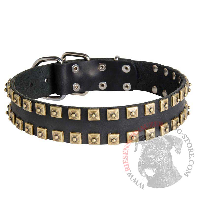 2 Rows Brass Studded Leather Riesenschnauzer Collar for Walking and Training