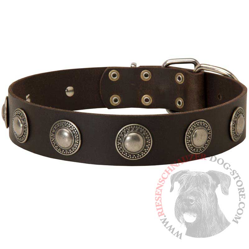 Leather Riesenschnauzer Collar Decorated with Silver Conchos