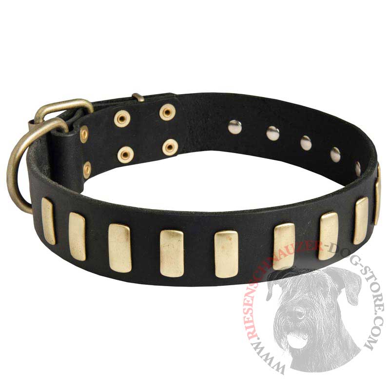 Fancy Leather Riesenschnauzer Collar with Brass Plates