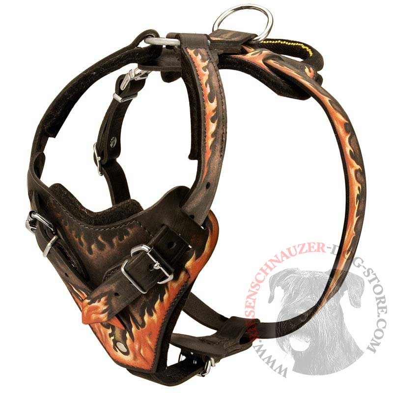 Handpainted in Flames Leather Riesenschnauzer Harness for Agitation Training