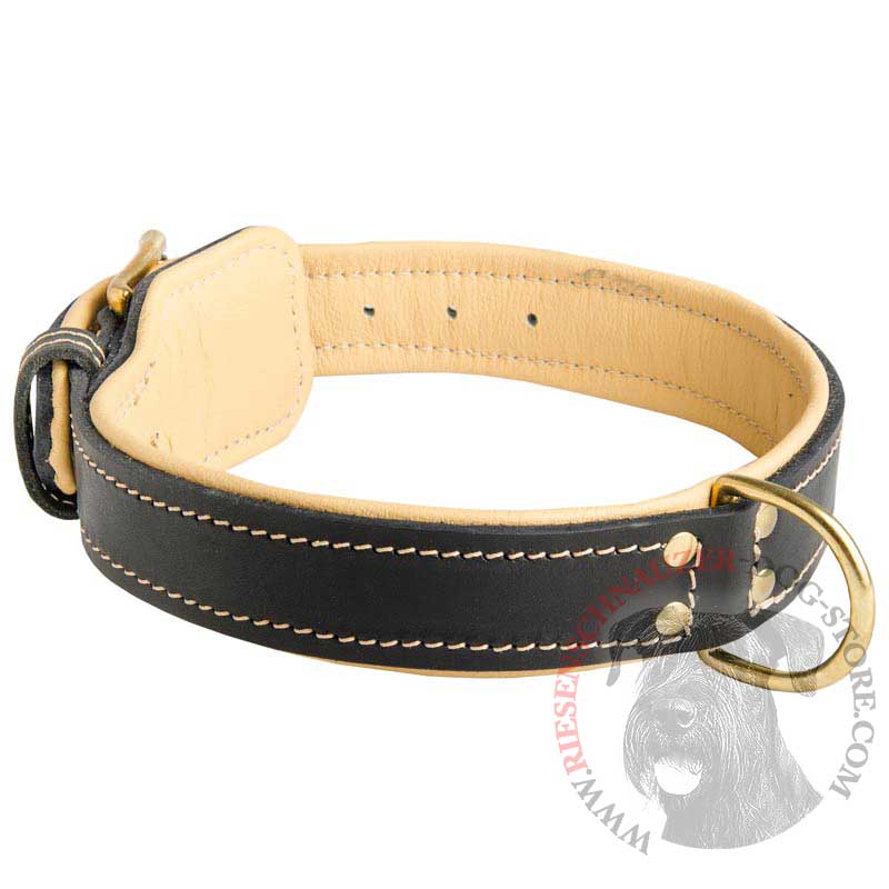 Padded Leather Riesenschnauzer Collar