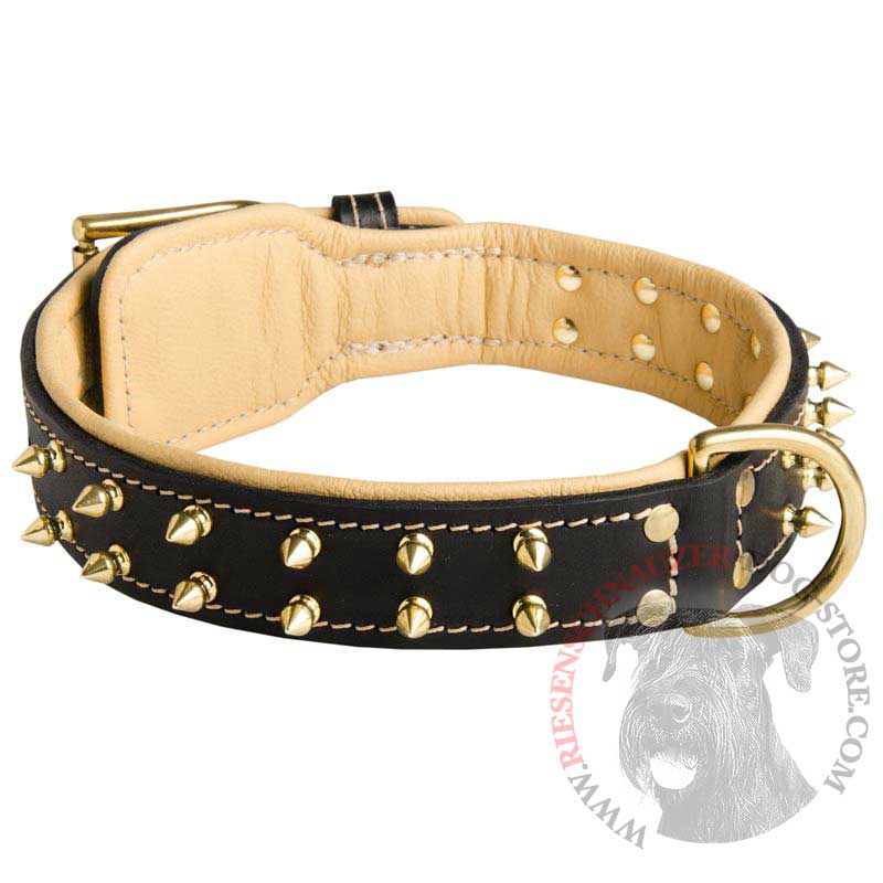 Royal Leather Riesenschnauzer Collar Spiked Padded with Nappa Leather - Click Image to Close