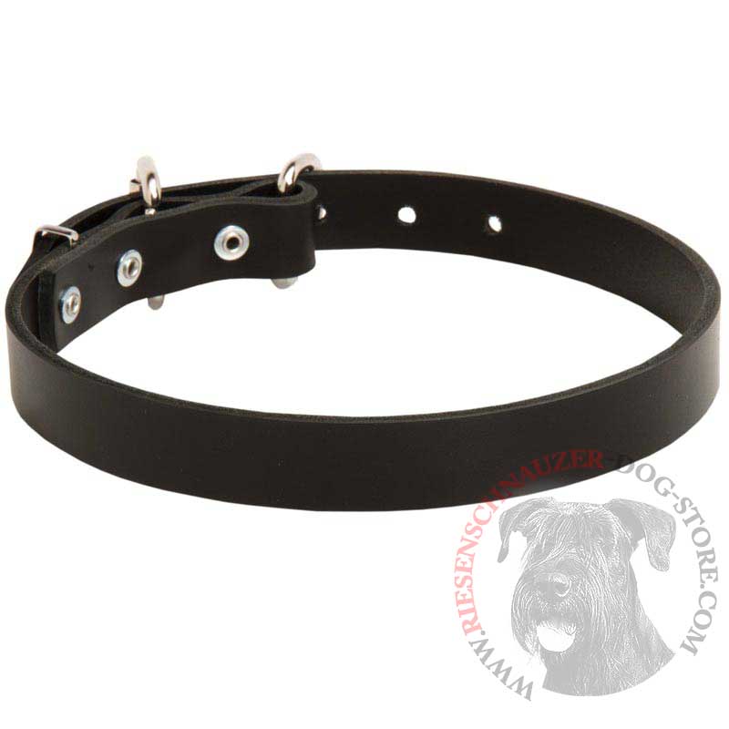Riesenschnauzer Leather Dog Collar 1 inch Wide - Click Image to Close